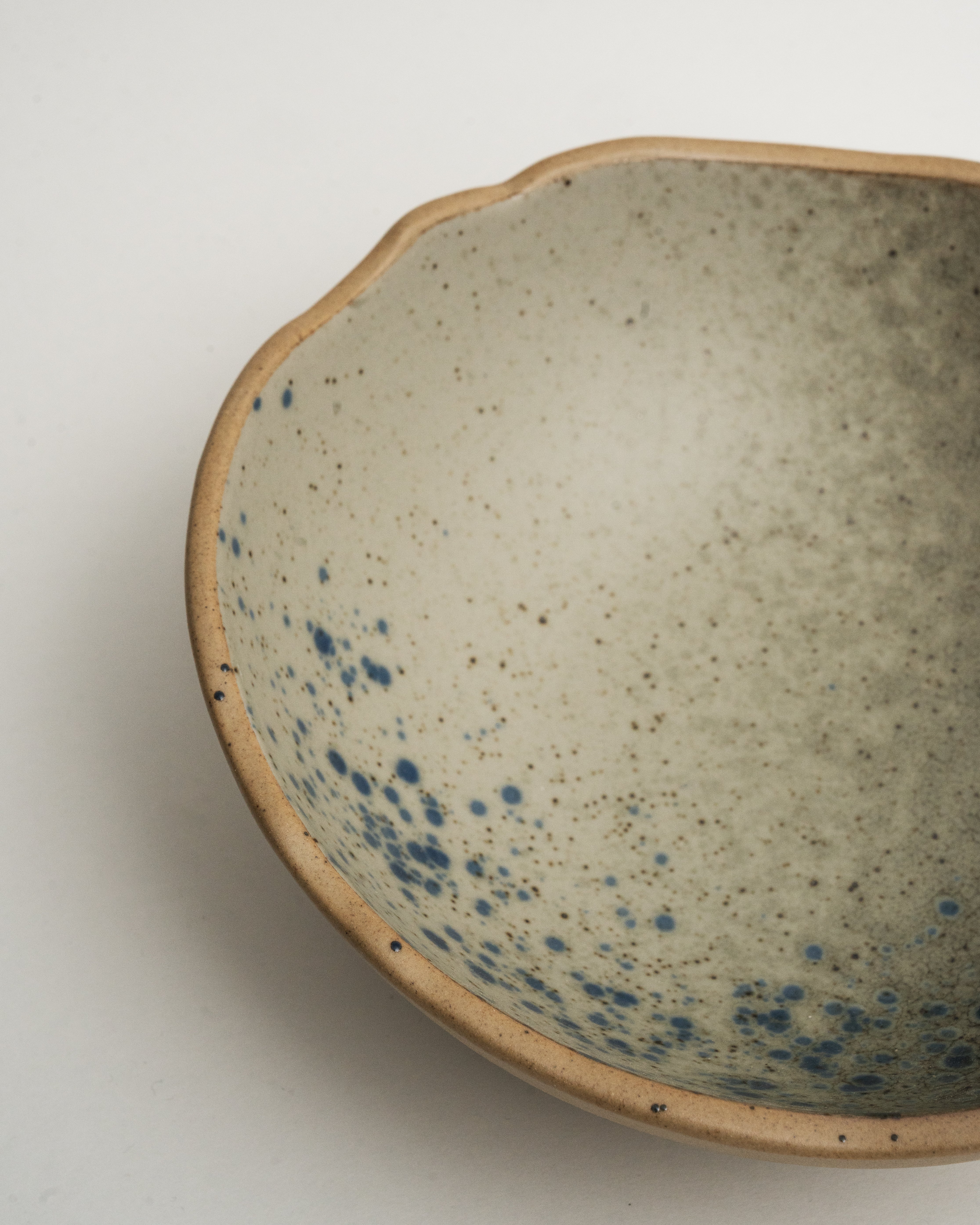 Overhead view of Gaia porcelain bistro bowl showing speckled texture