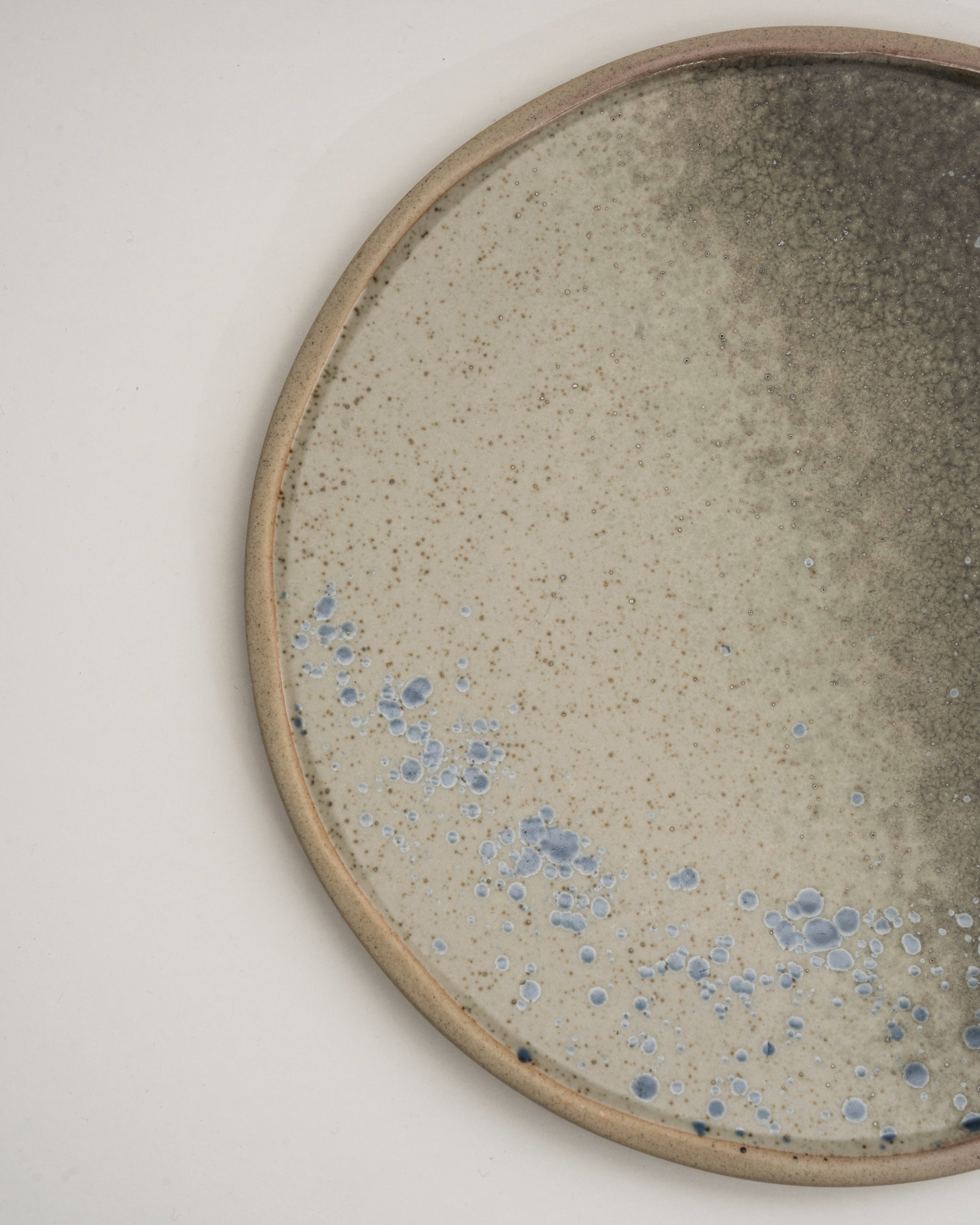 Overhead view of Gaia porcelain dinner plate showing speckled texture