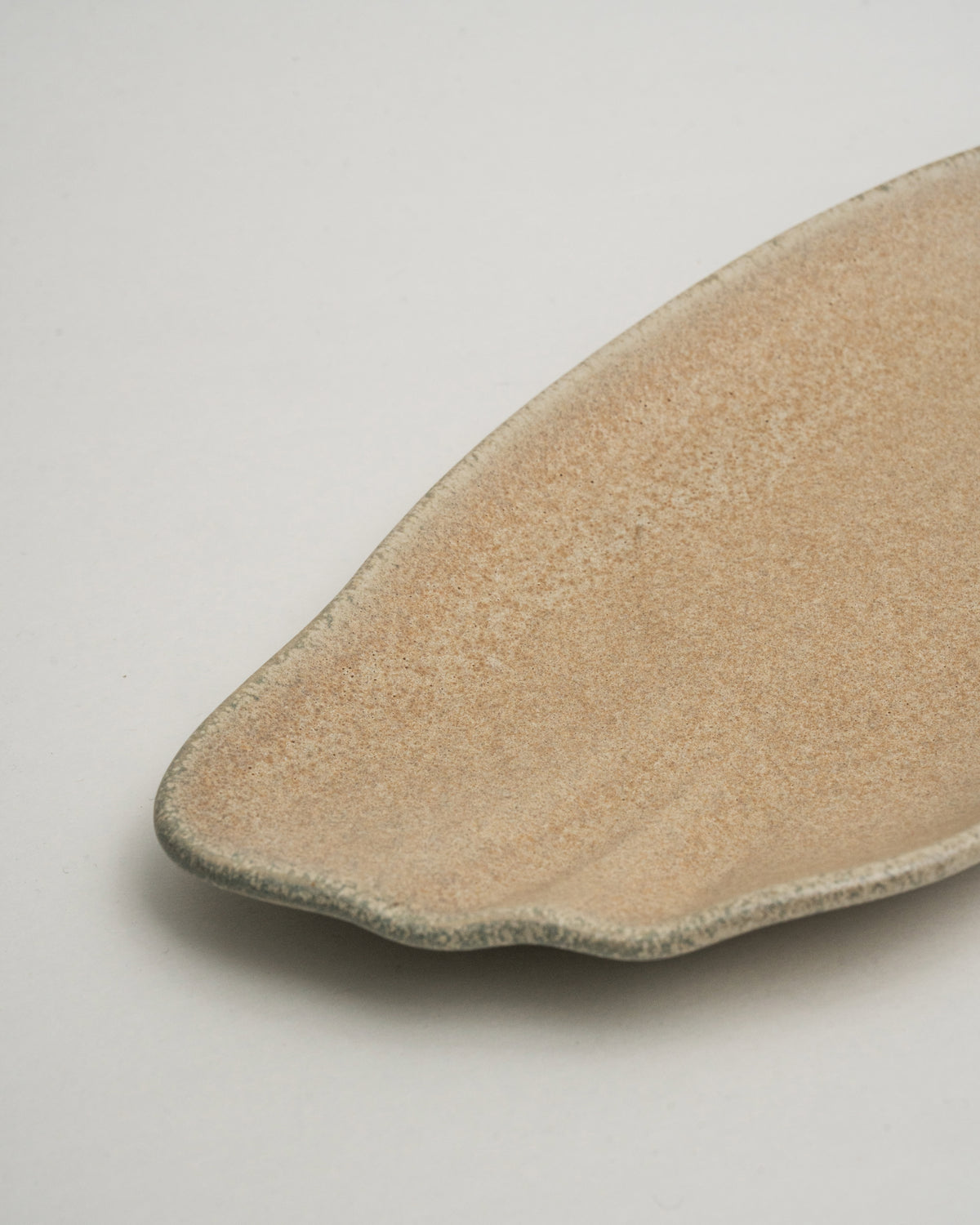 Overhead view of Sahara porcelain rectangular plate, full glaze visible